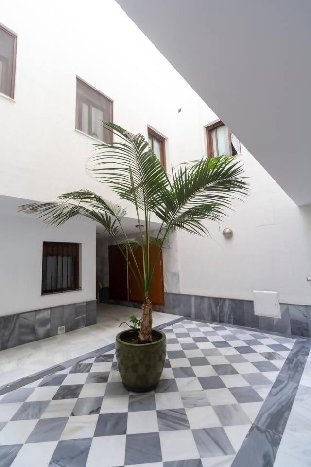 Sh Pilucas Moderno Con Patio